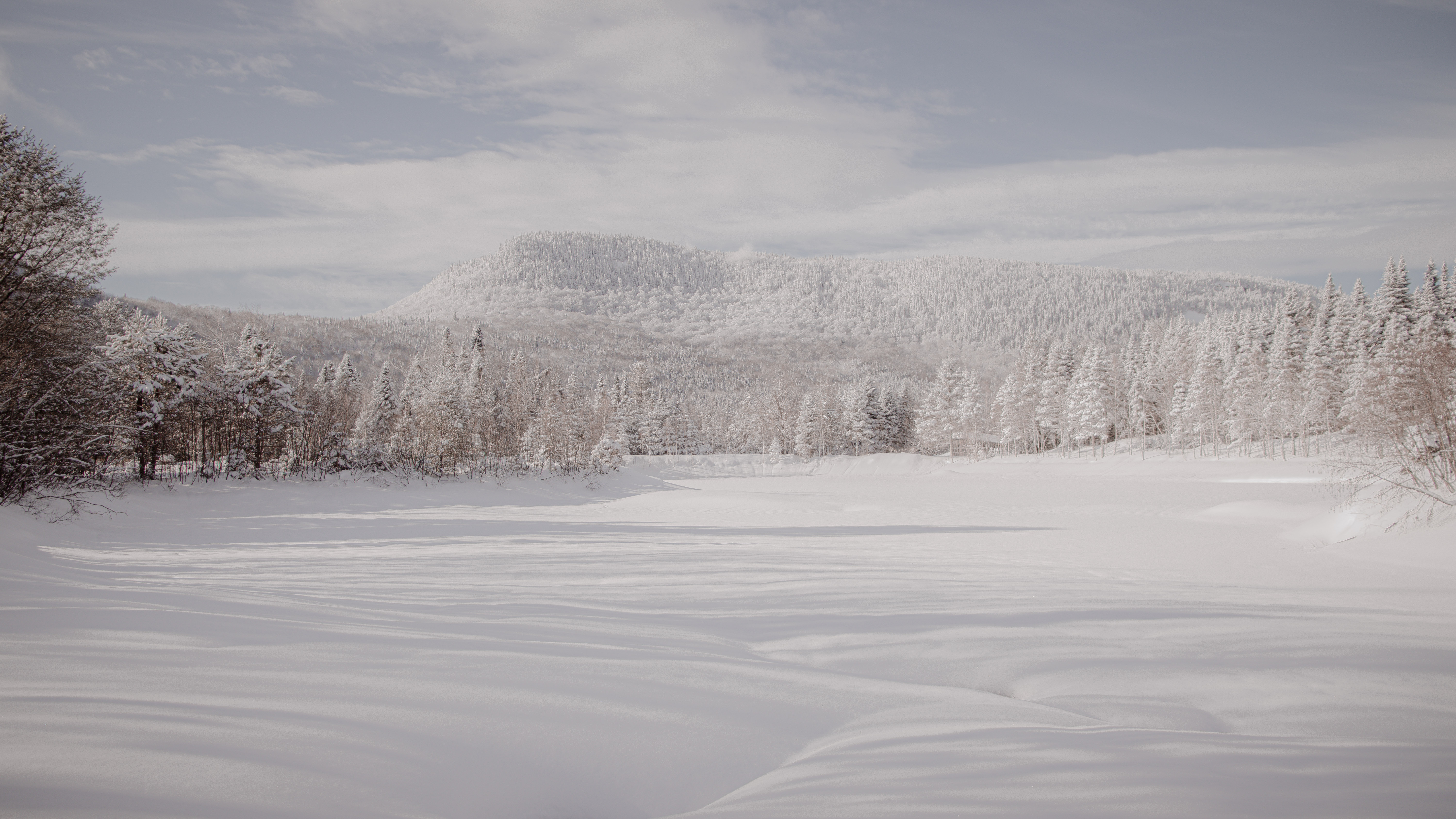 Paysages