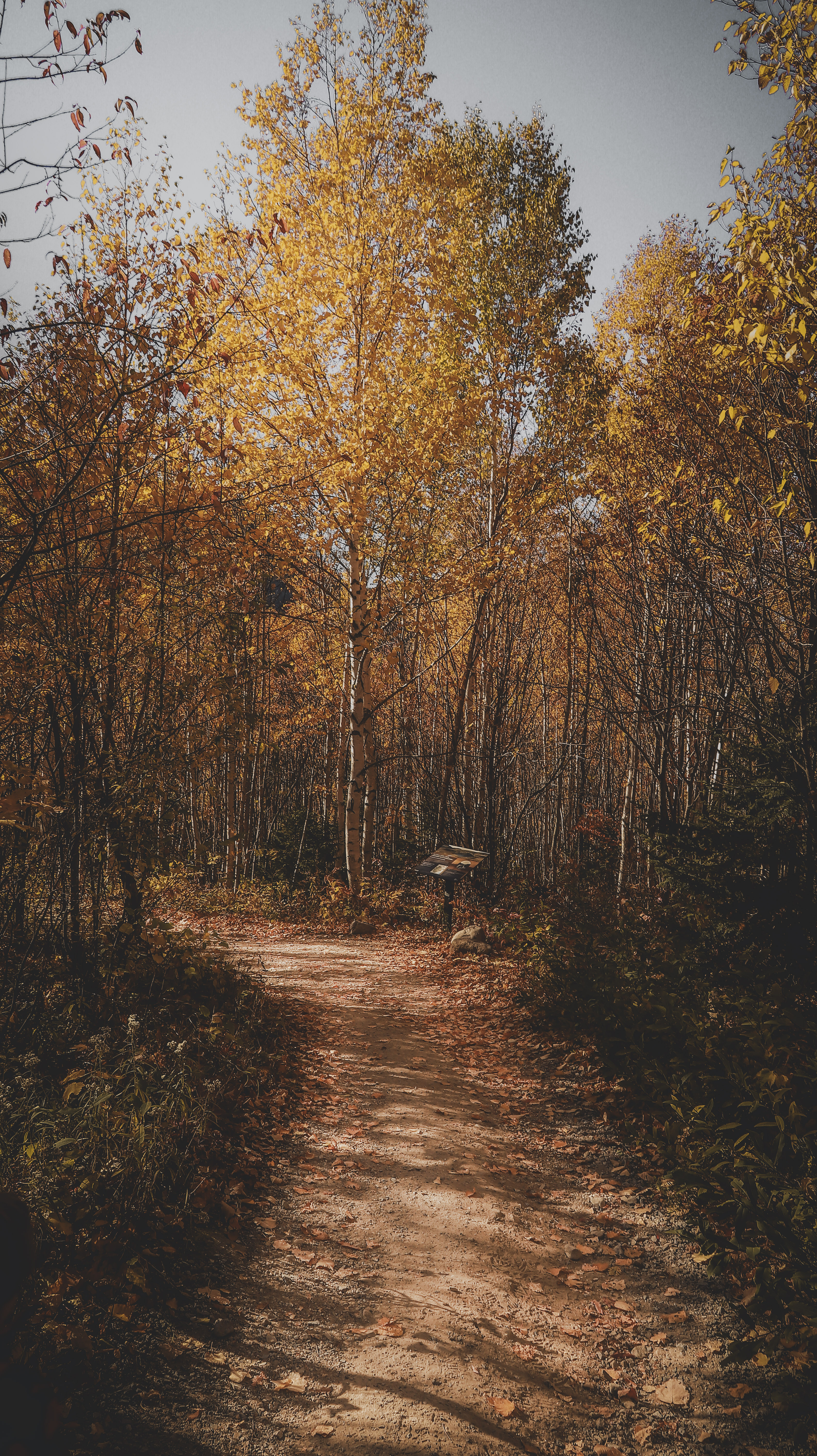 Aventure & Randonnée