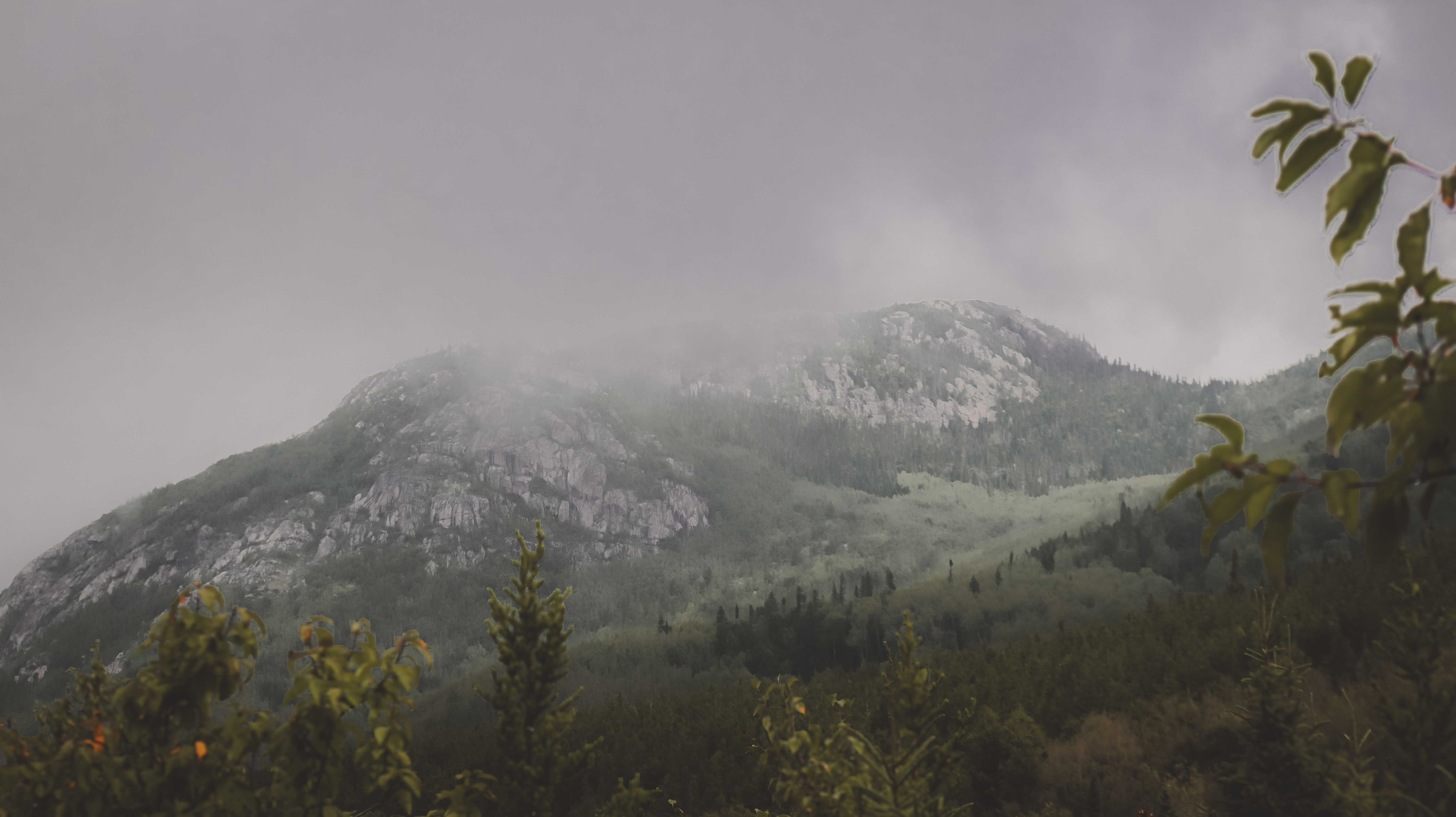 Paysages