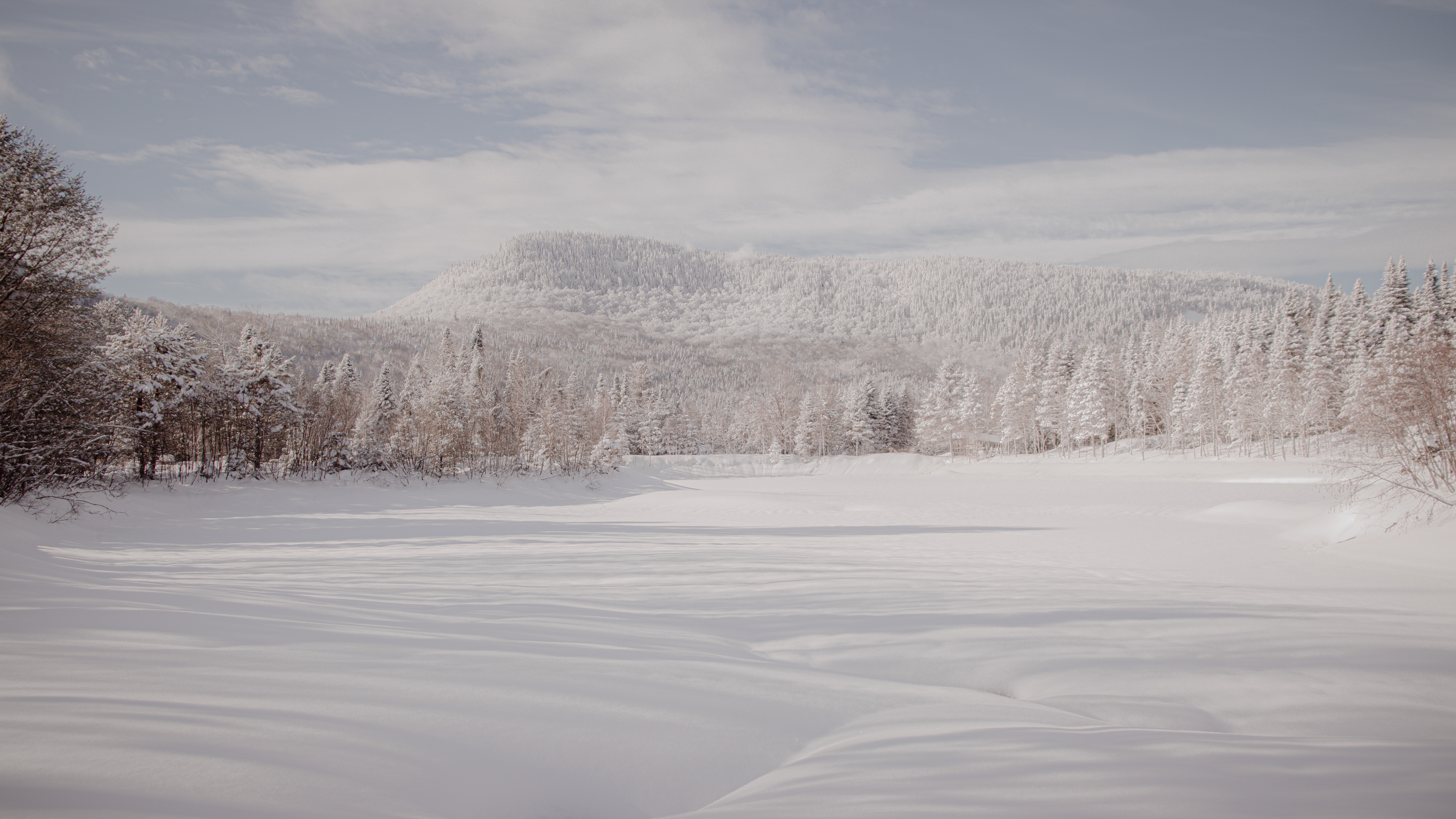 Paysages