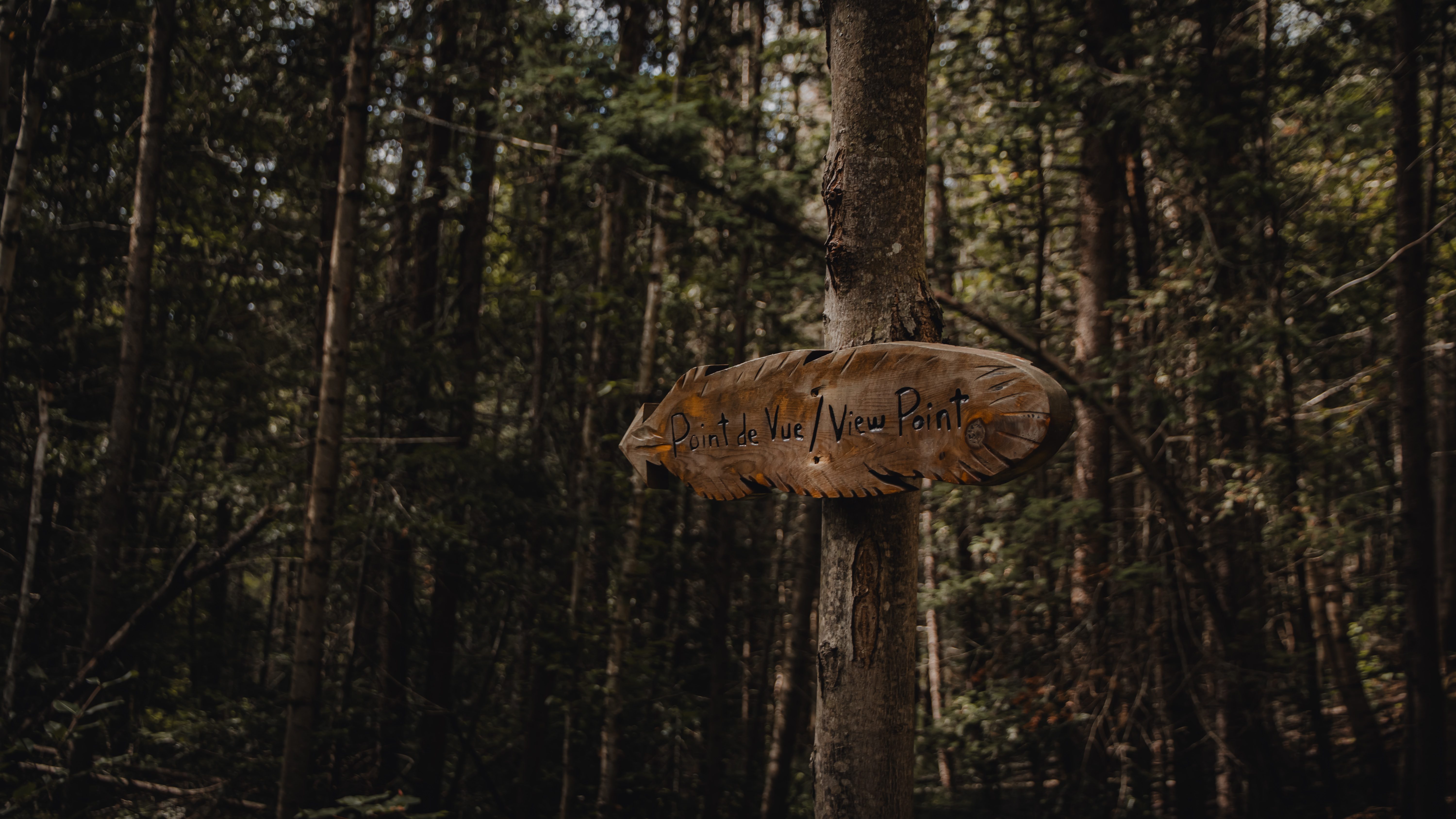 Aventure & Randonnée