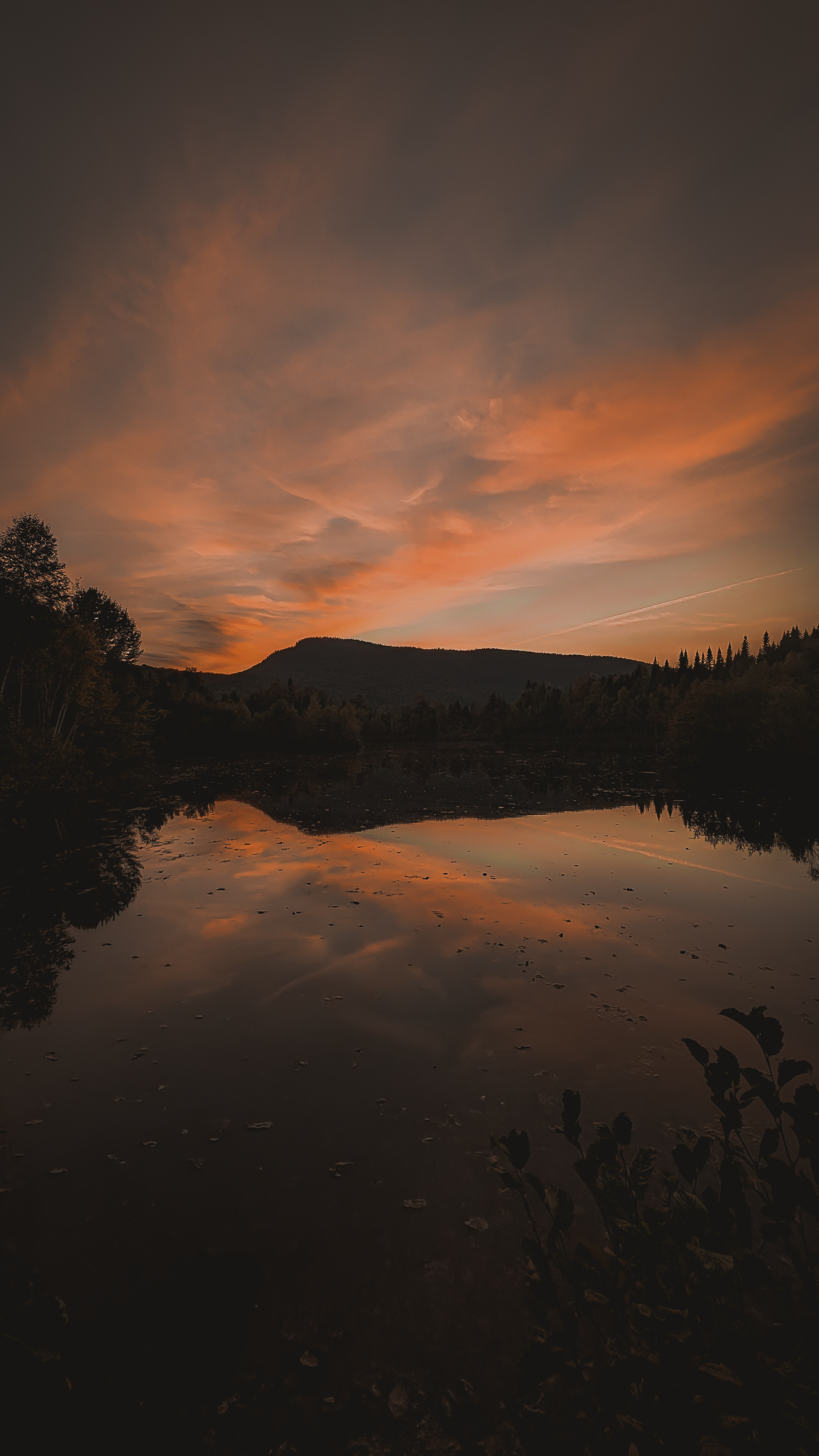 Paysages
