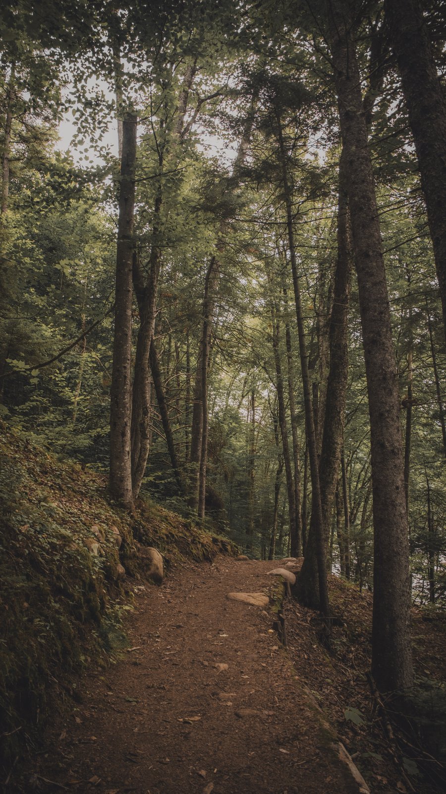 Aventure & Randonnée