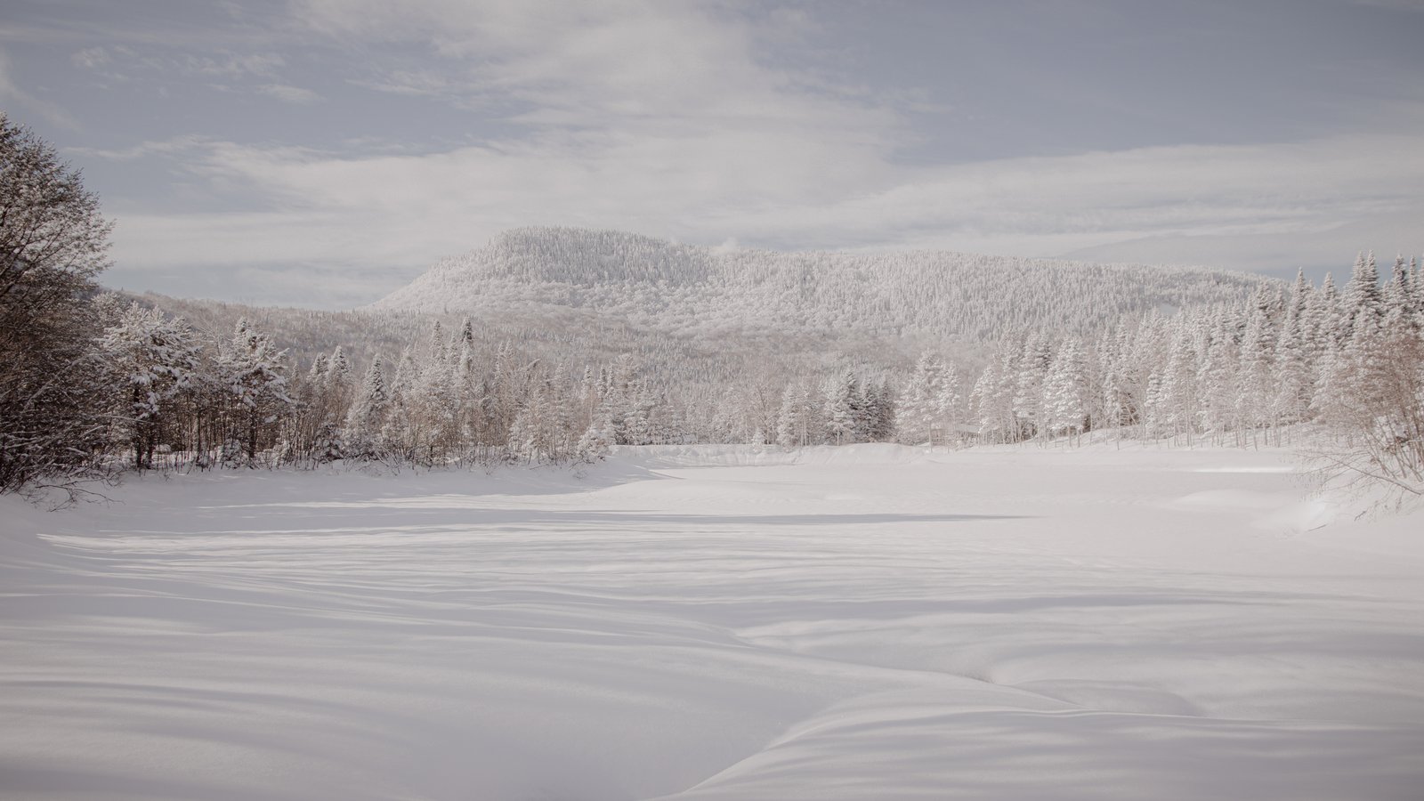 Paysages