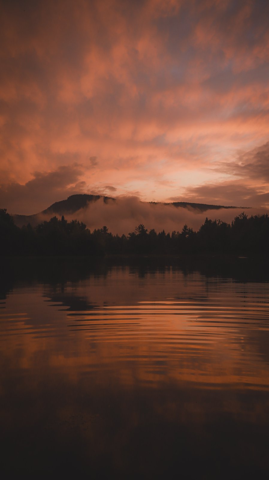 Paysages