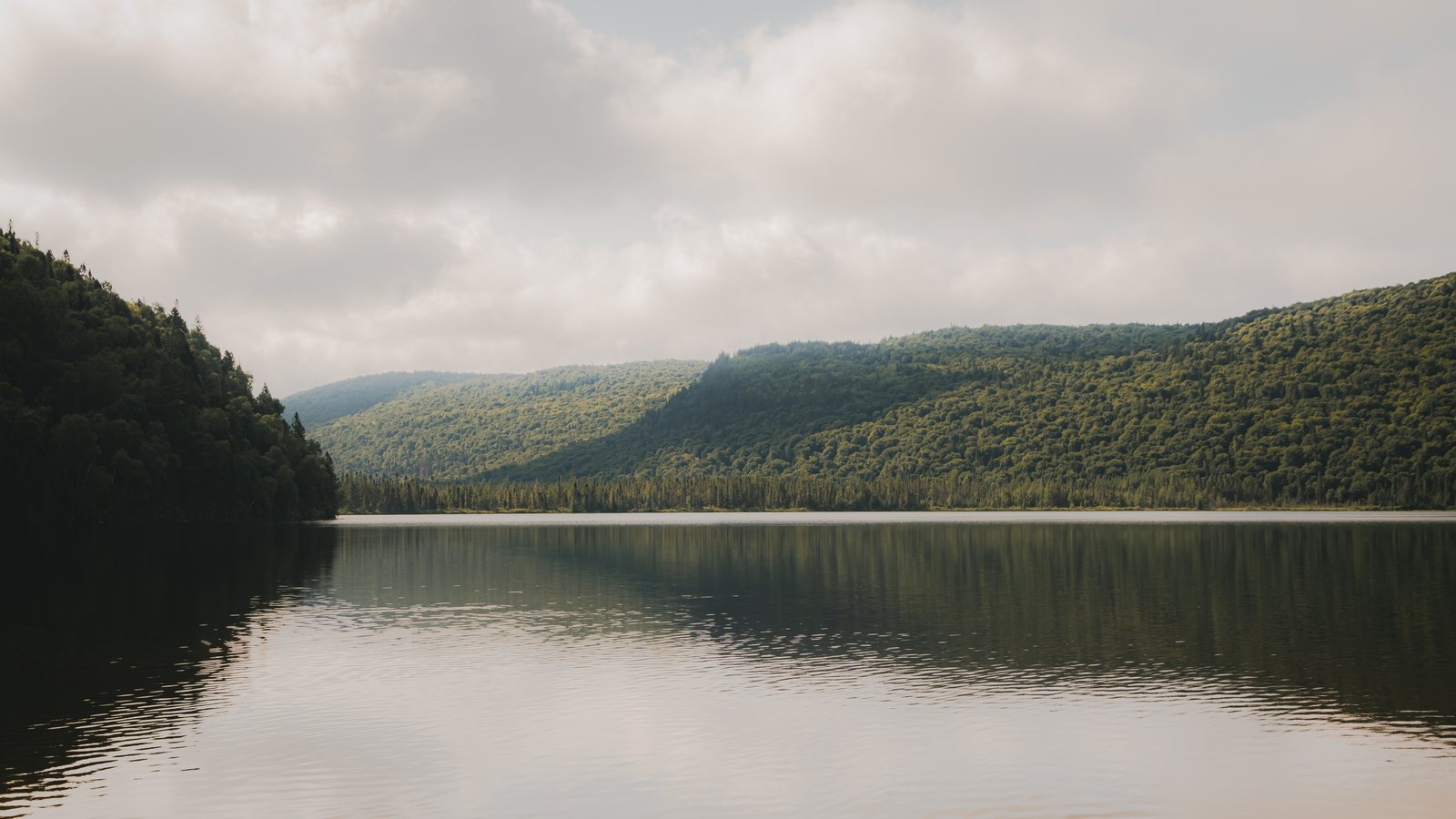 Paysages