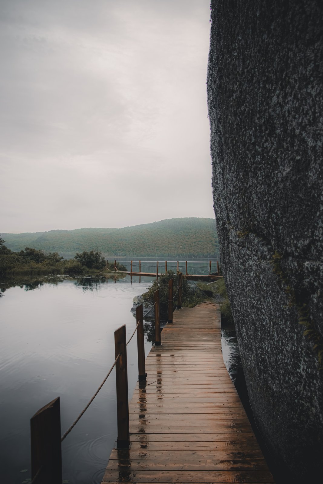 Paysages