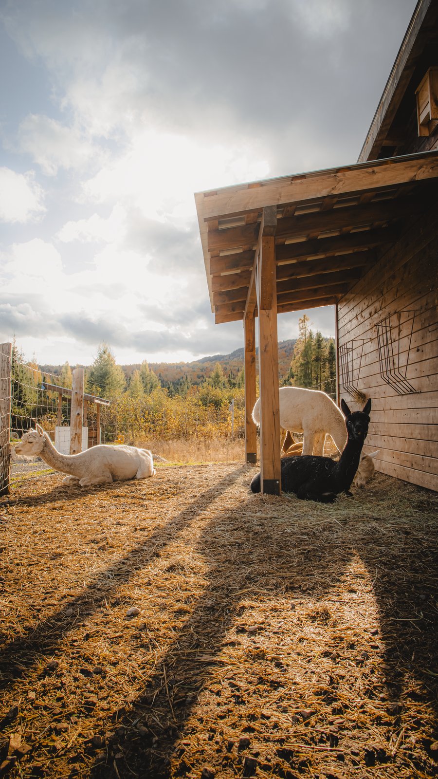 Hauts Refuges