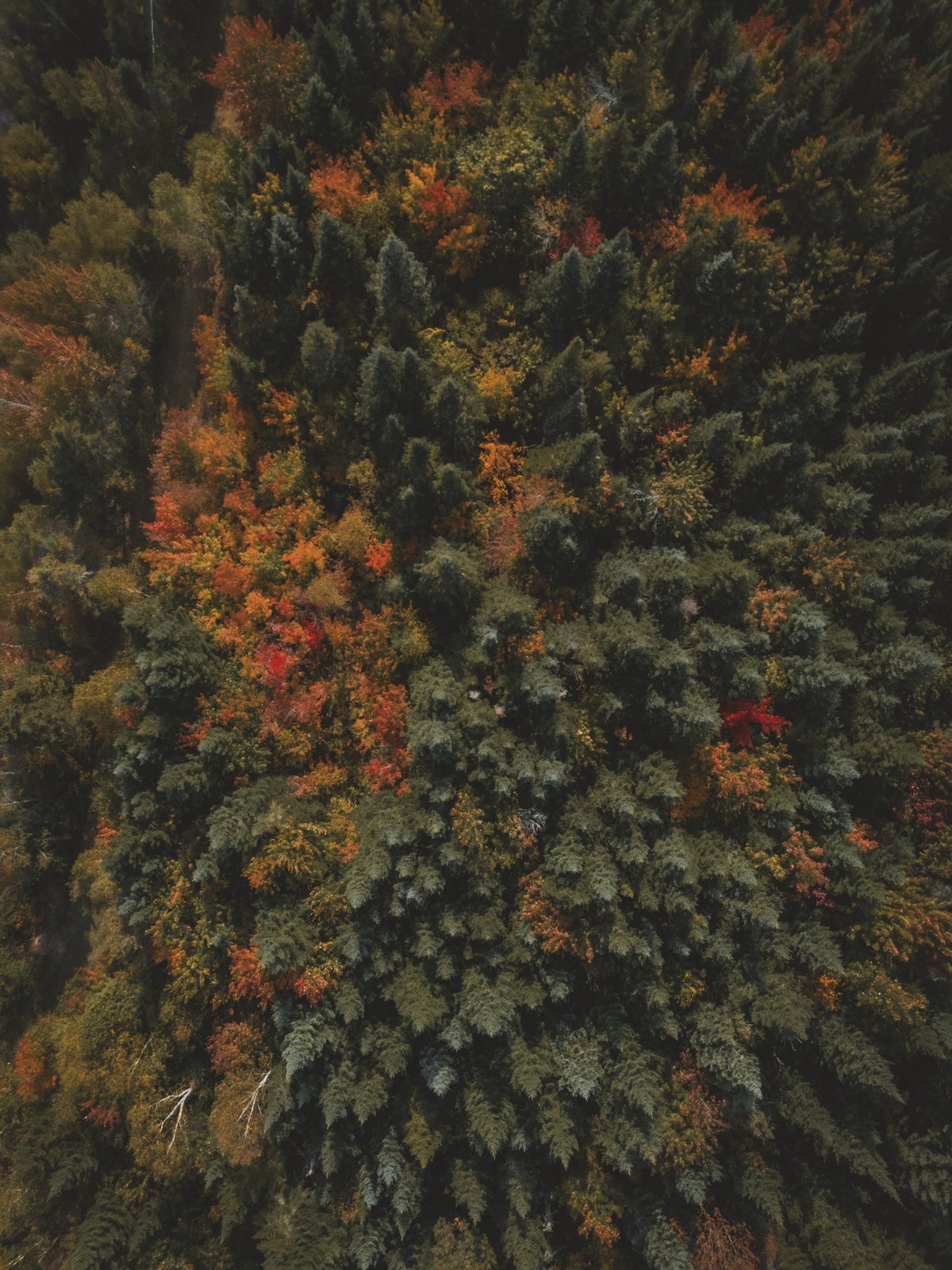 Paysages
