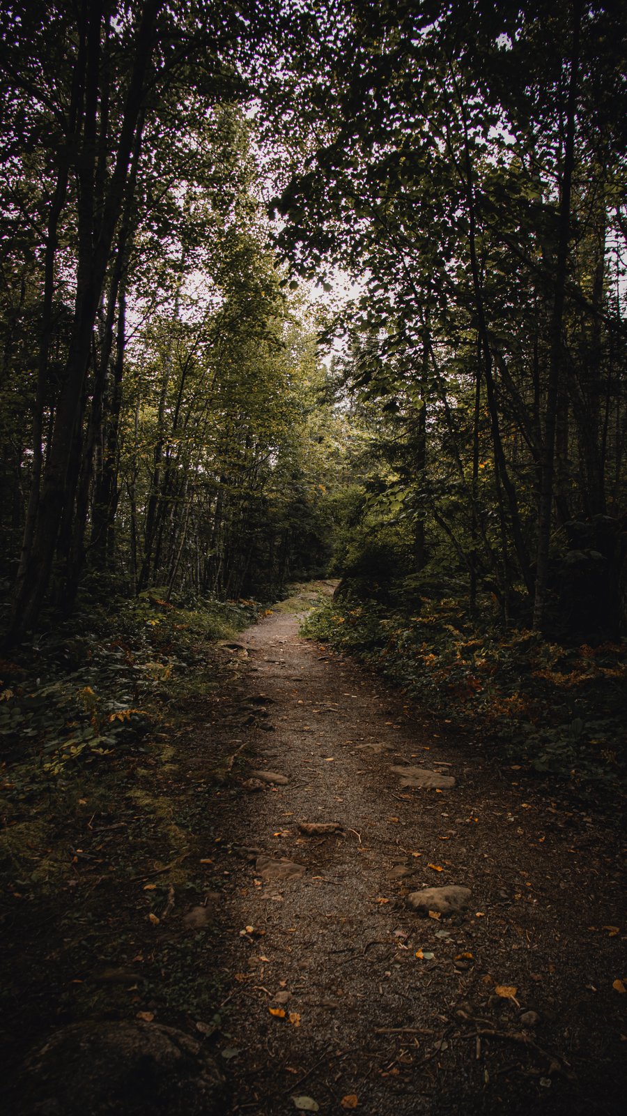 Aventure & Randonnée