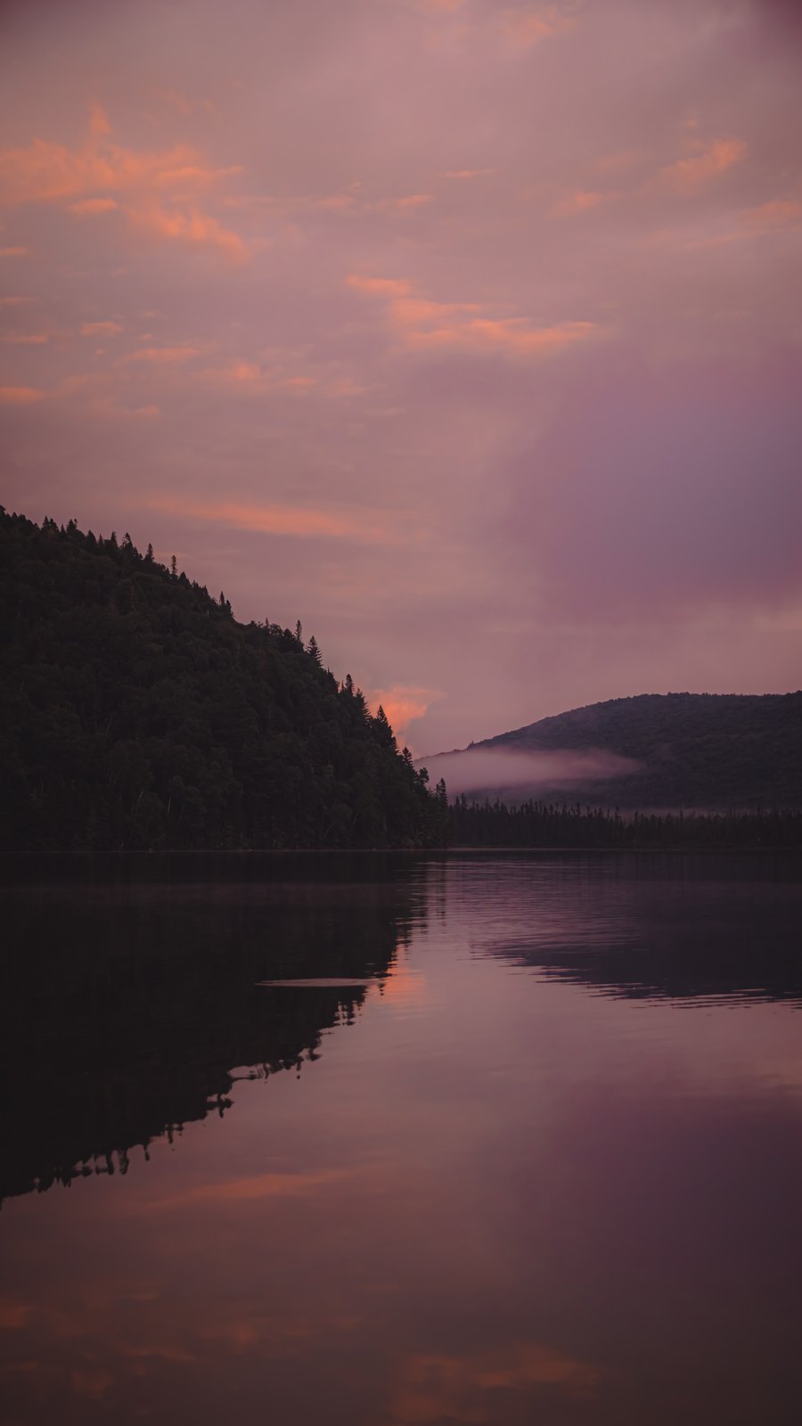 Paysages