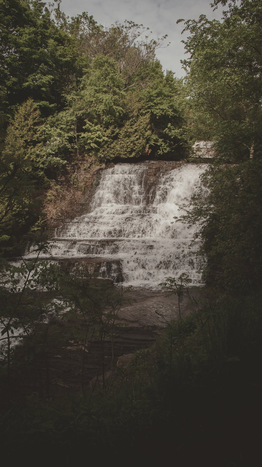 Paysages
