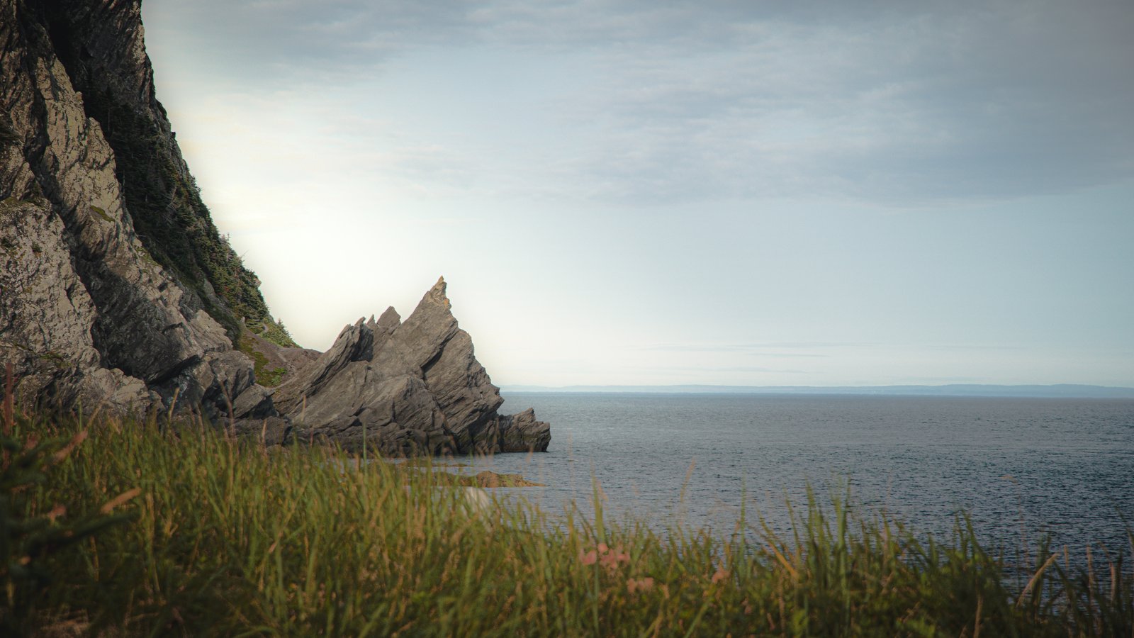 Paysages