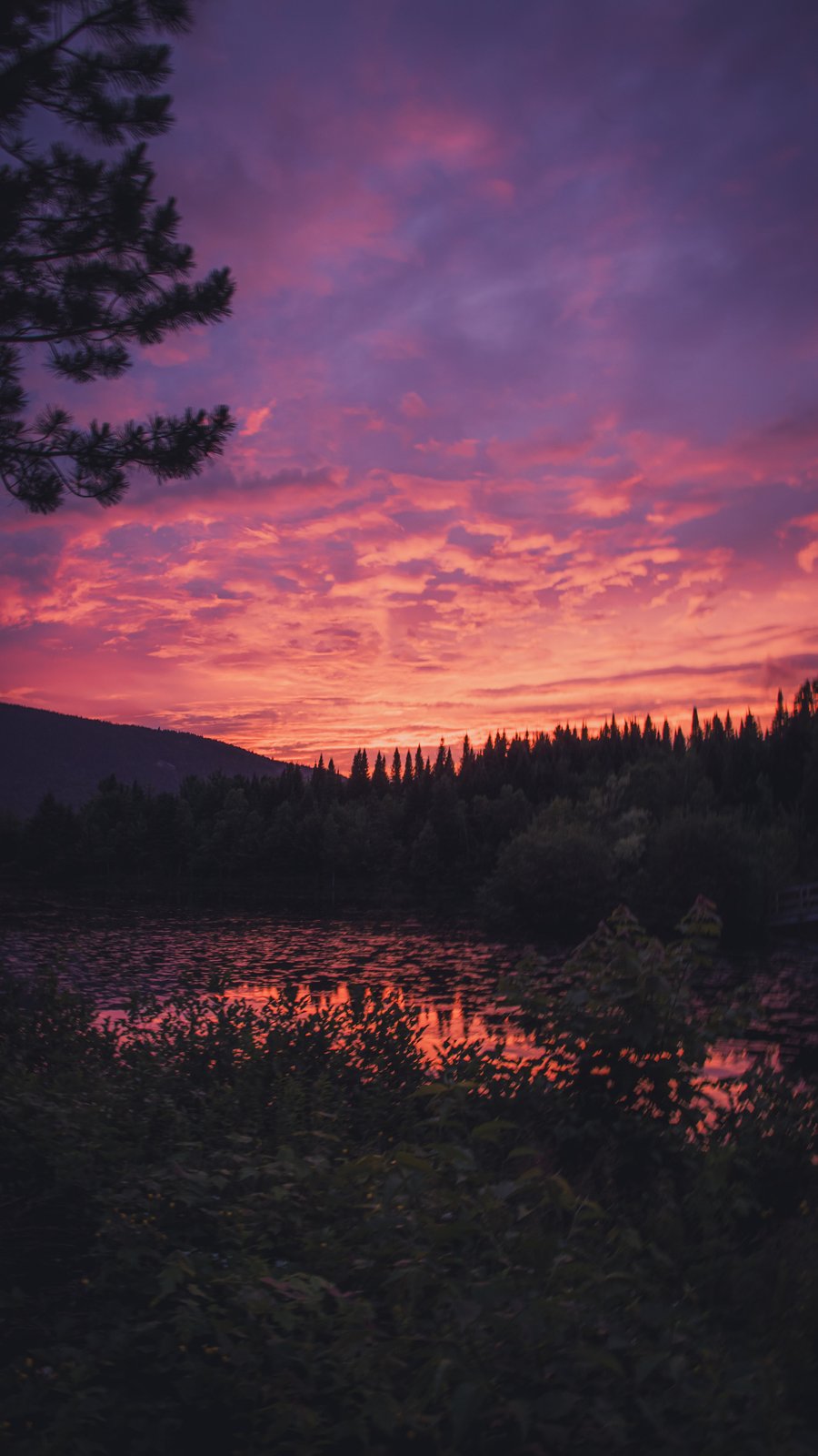 Paysages