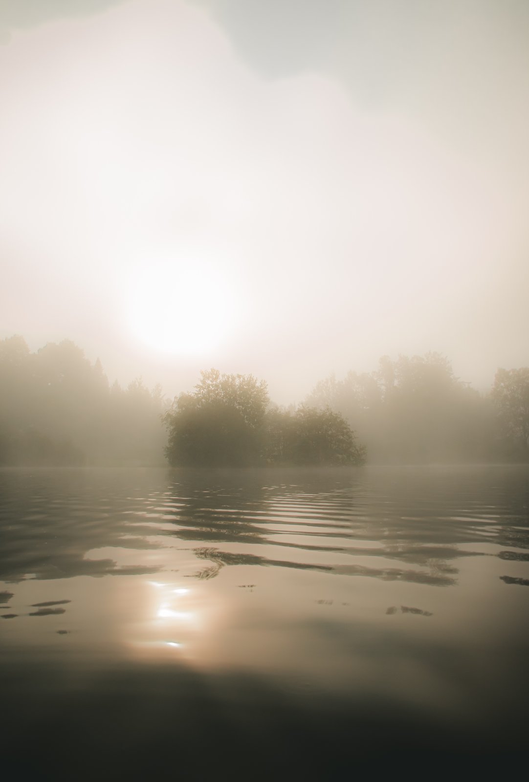 Paysages