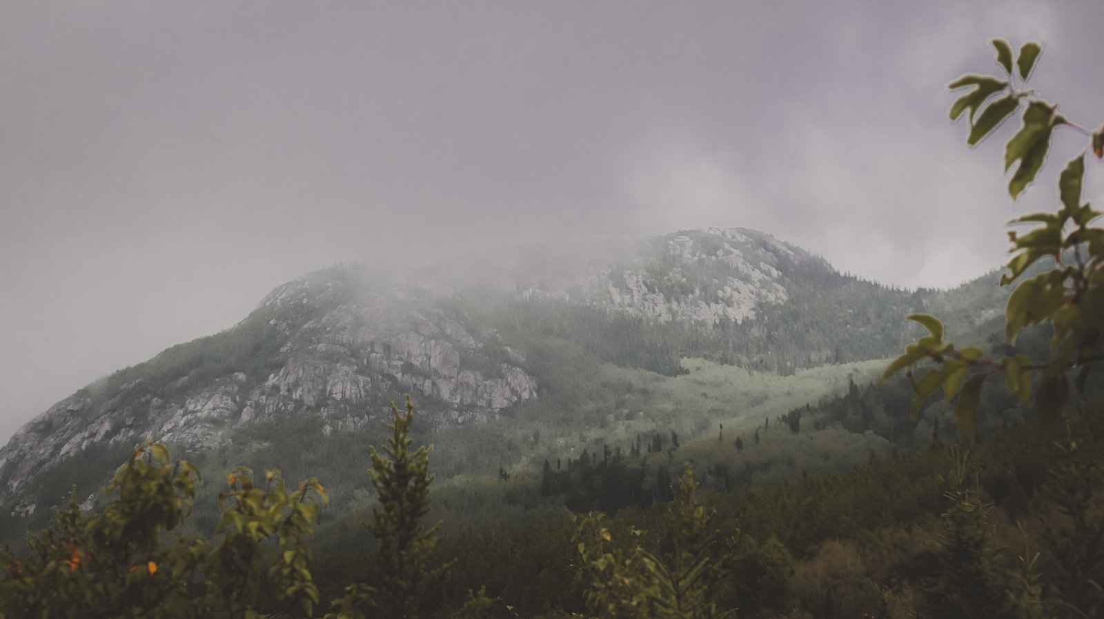 Paysages