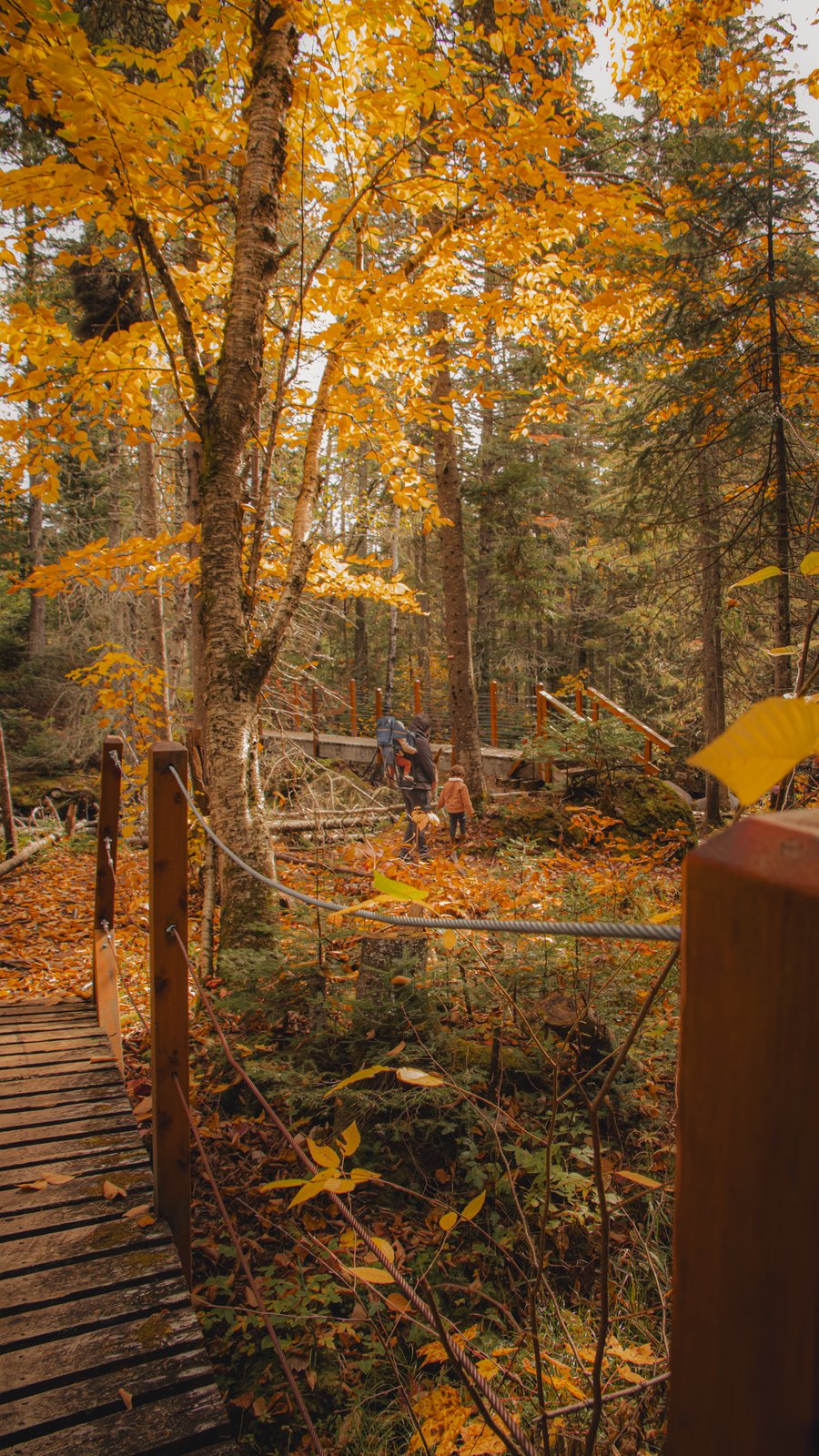 Petite-Rivière-Saint-François