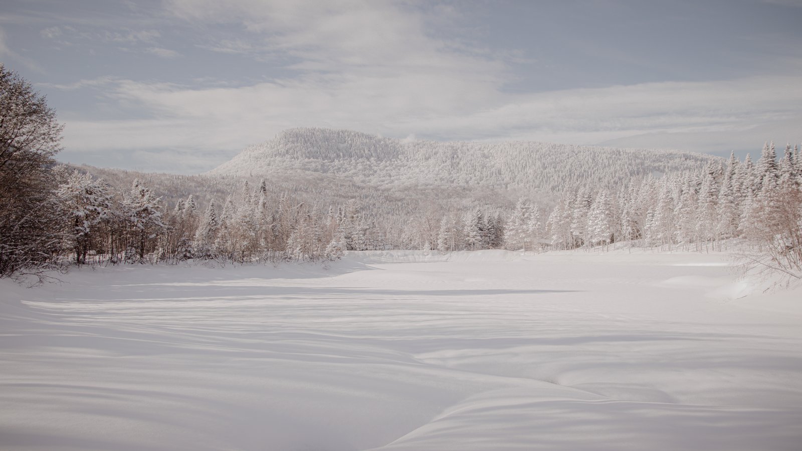 Paysages