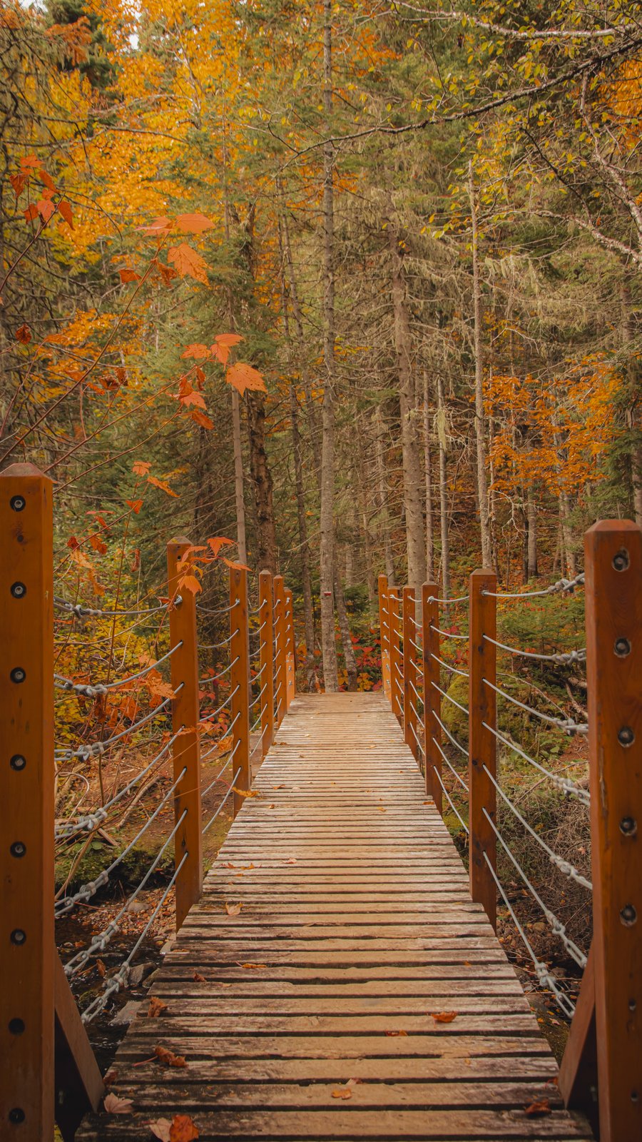 Petite-Rivière-Saint-François
