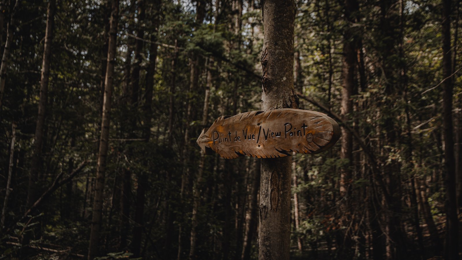 Aventure & Randonnée