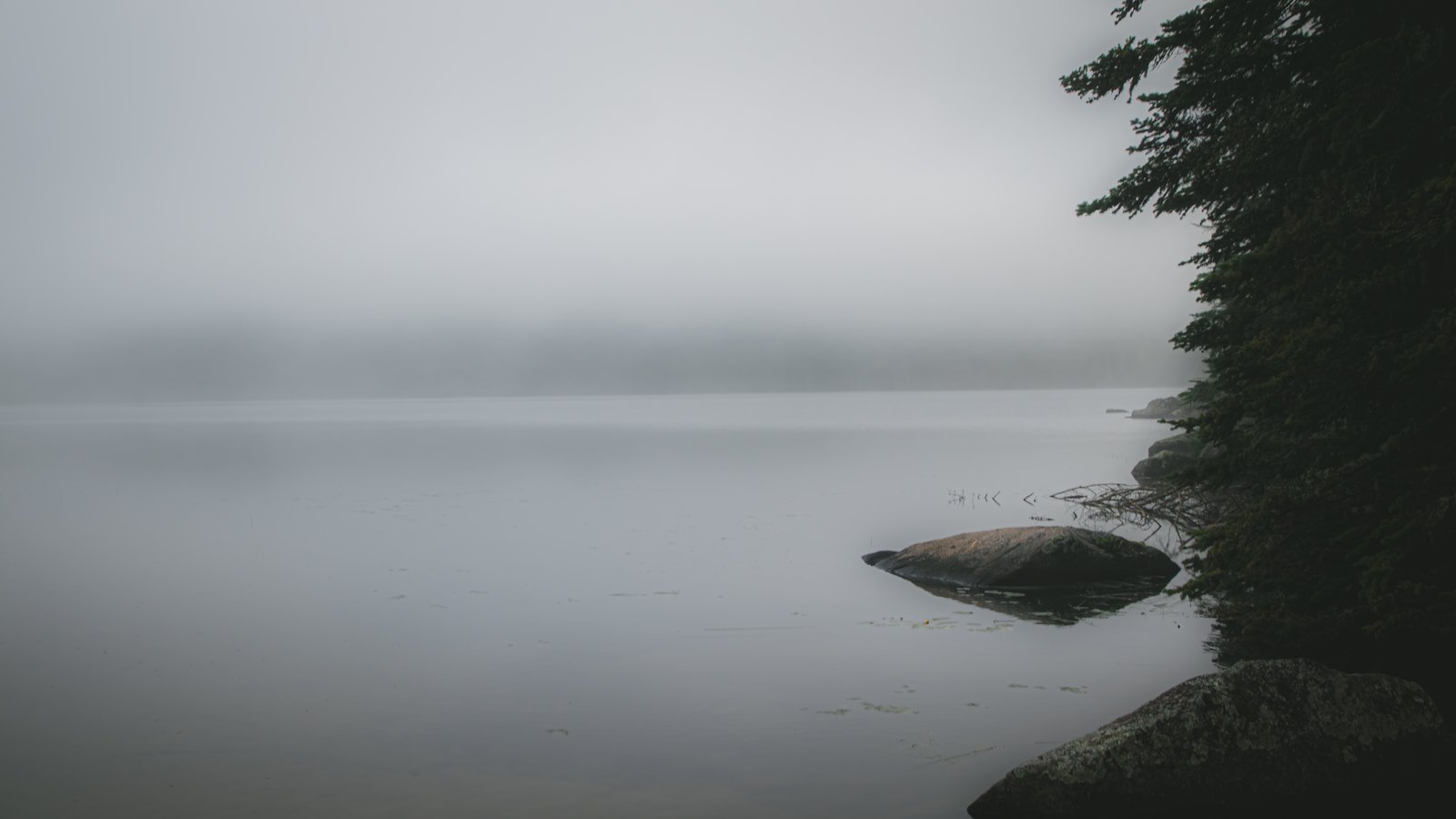 Paysages