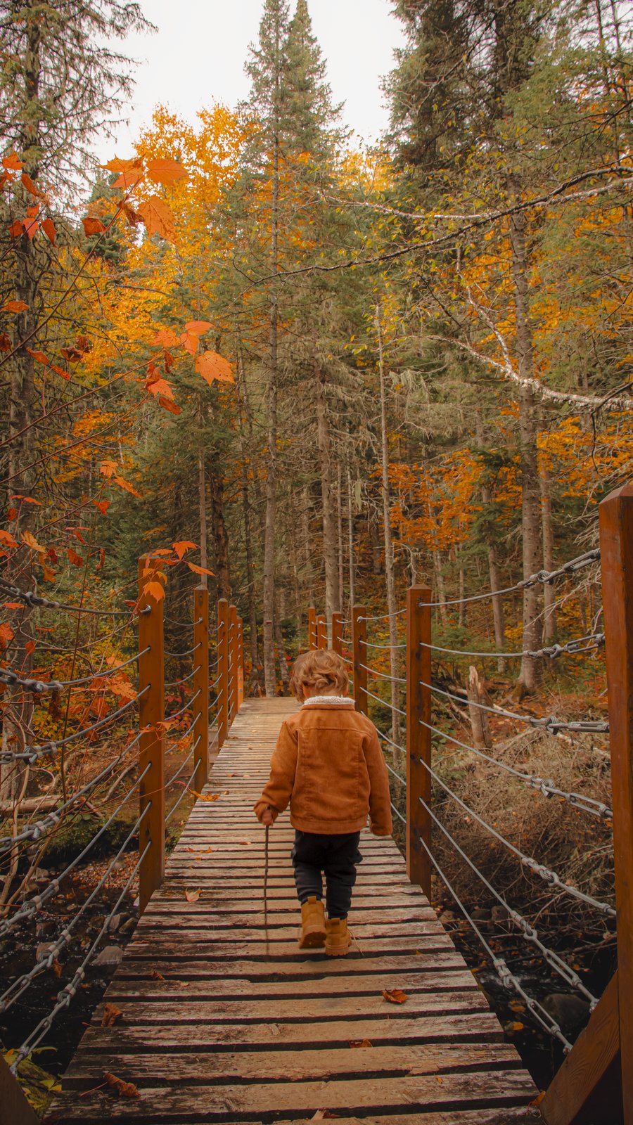 Petite-Rivière-Saint-François
